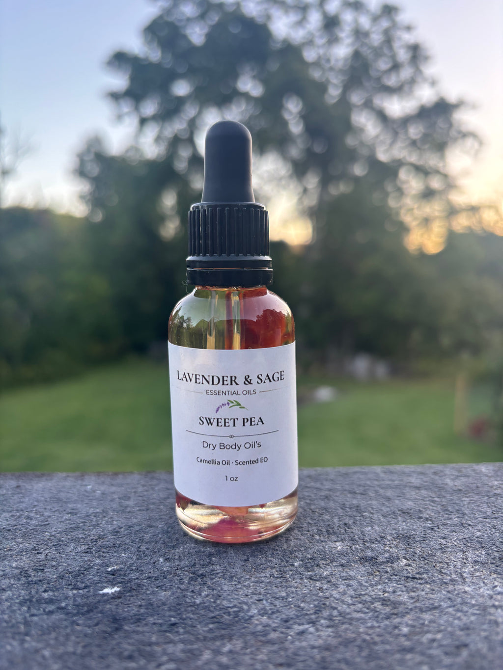 Dry Brush and Dry Body Oil Bundle