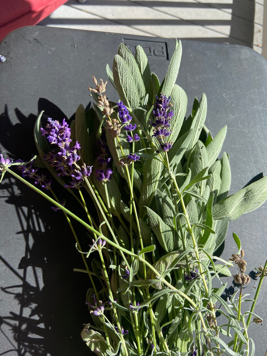 Devil's Itch Drawing Salve