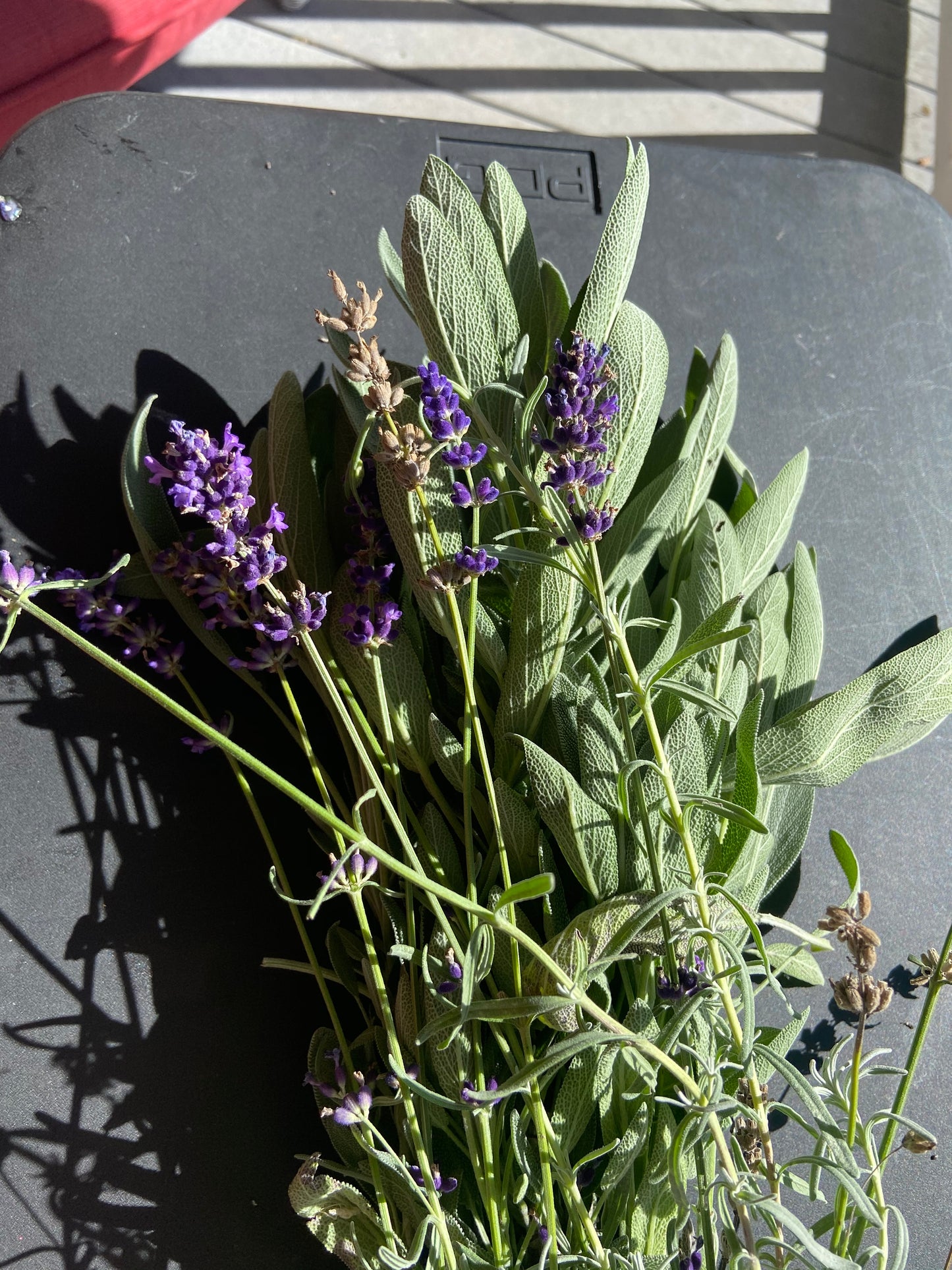 Devil's Itch Drawing Salve