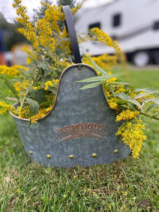 Products Page 2 Shannon Shuey